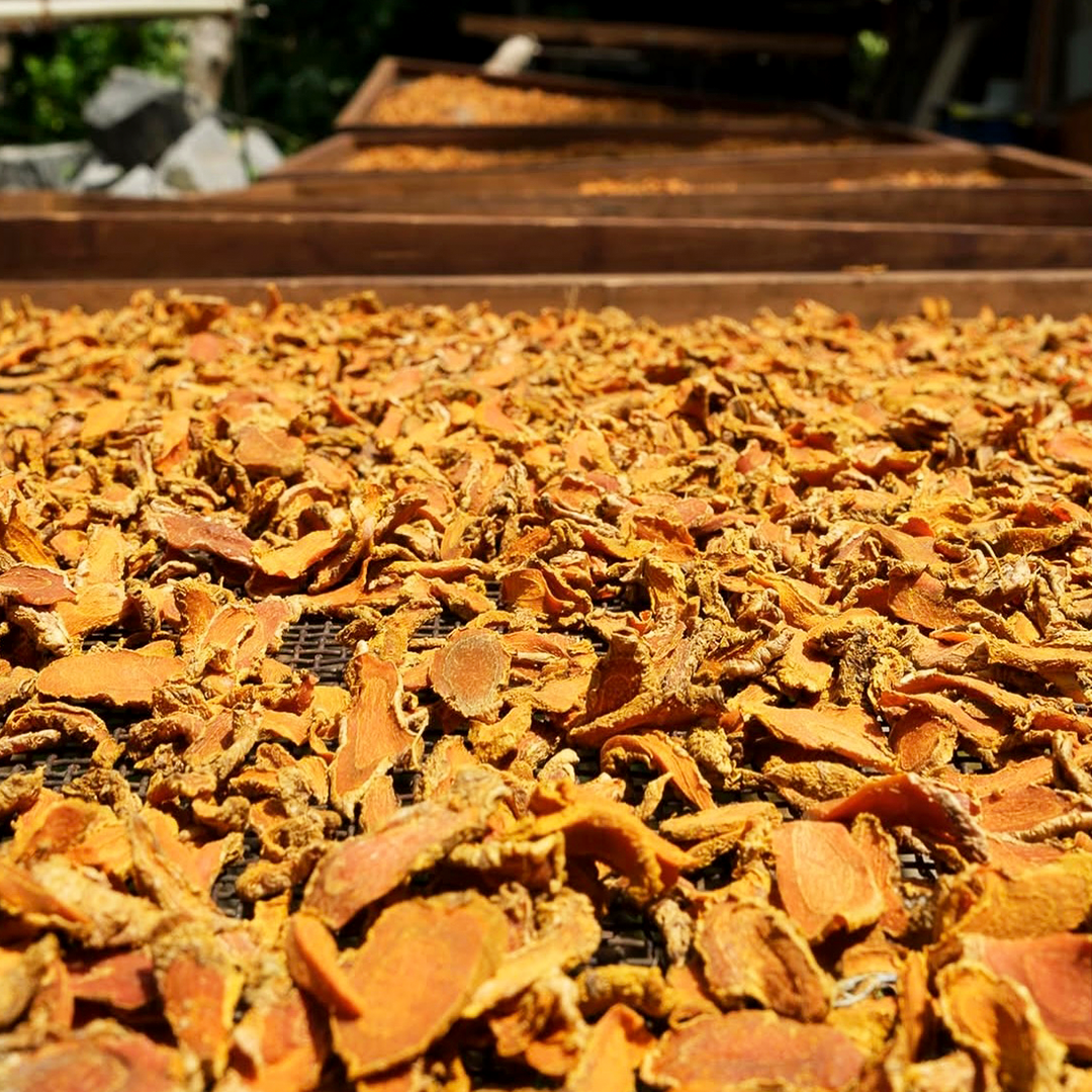 Golden Kurkuma Gemahlen
