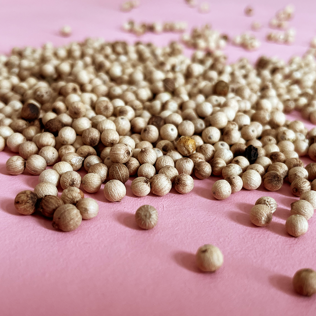 Weißer Pfeffer Ganz