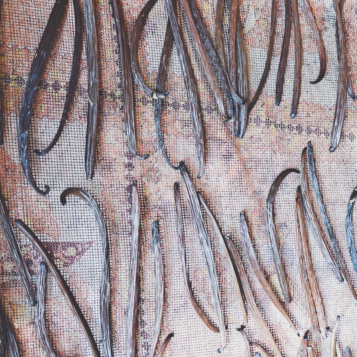 Ceylon Vanilla