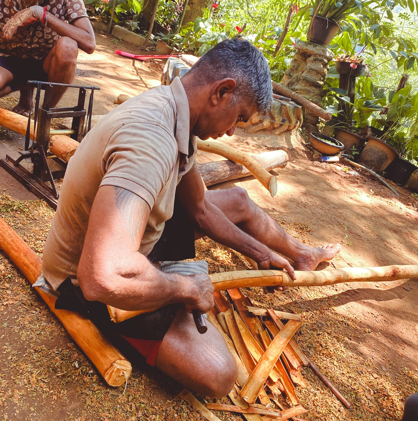 Wild Ceylon Cinnamon Powder